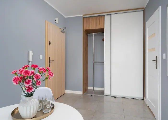 Vistula Boulevard With Free Parking Spot 克拉科夫