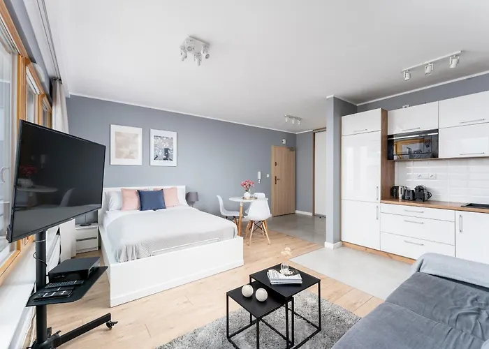 Vistula Boulevard With Free Parking Spot * 克拉科夫